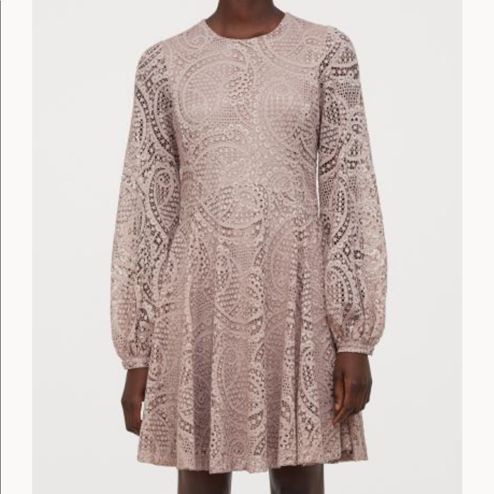 H&M Lace Skater Dress